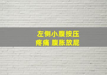 左侧小腹按压疼痛 腹胀放屁